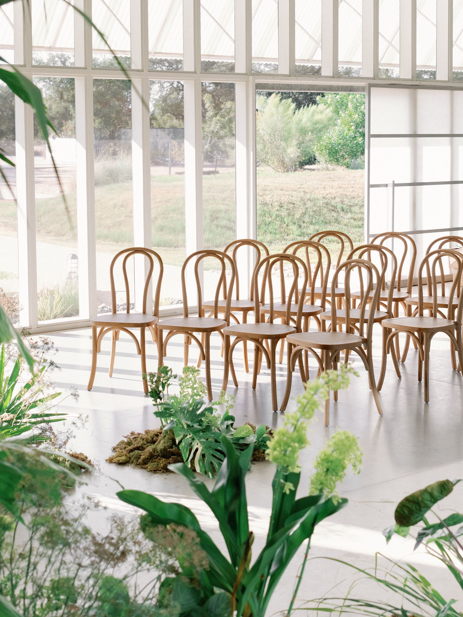 Rows of wooden chairs face a windowed wall, with greenery and plants on the floor.