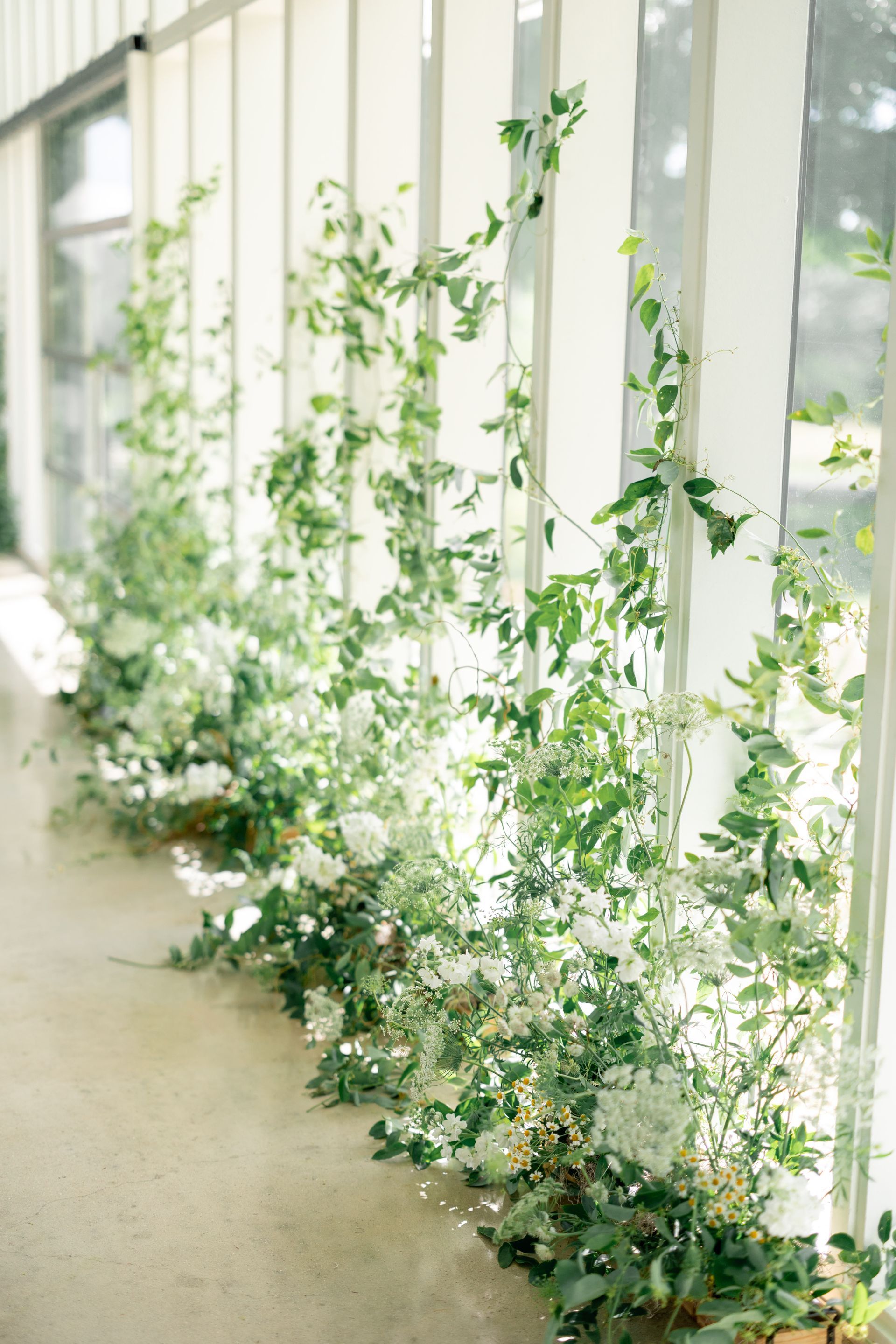 White floral arrangement with green vines along a wall with large windows.