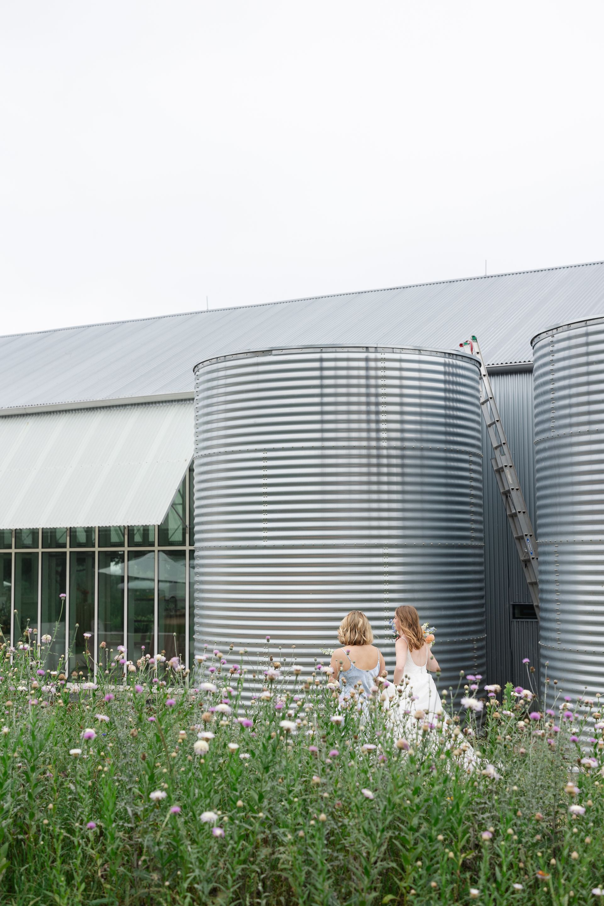 Bride and groom holding hands while walking through an open tall grassy field surrounded by trees, capturing a romantic moment during their wedding.