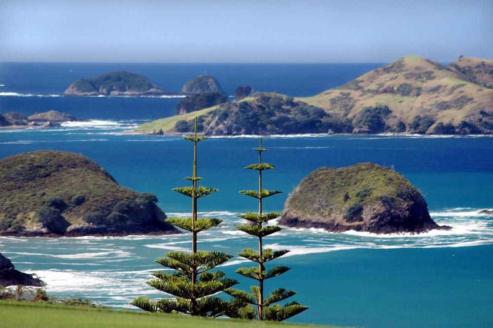 A View of A Body of Water with Trees in The Foreground — Coolman Airconditioning in Ocean Shores, NSW
