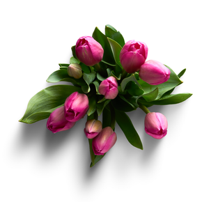 Pink Rose Bouquet