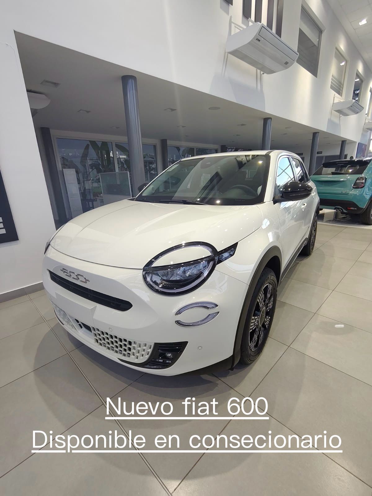Fiat 600 blanco, estacionado en la sala de exposición de un concesionario. El texto dice