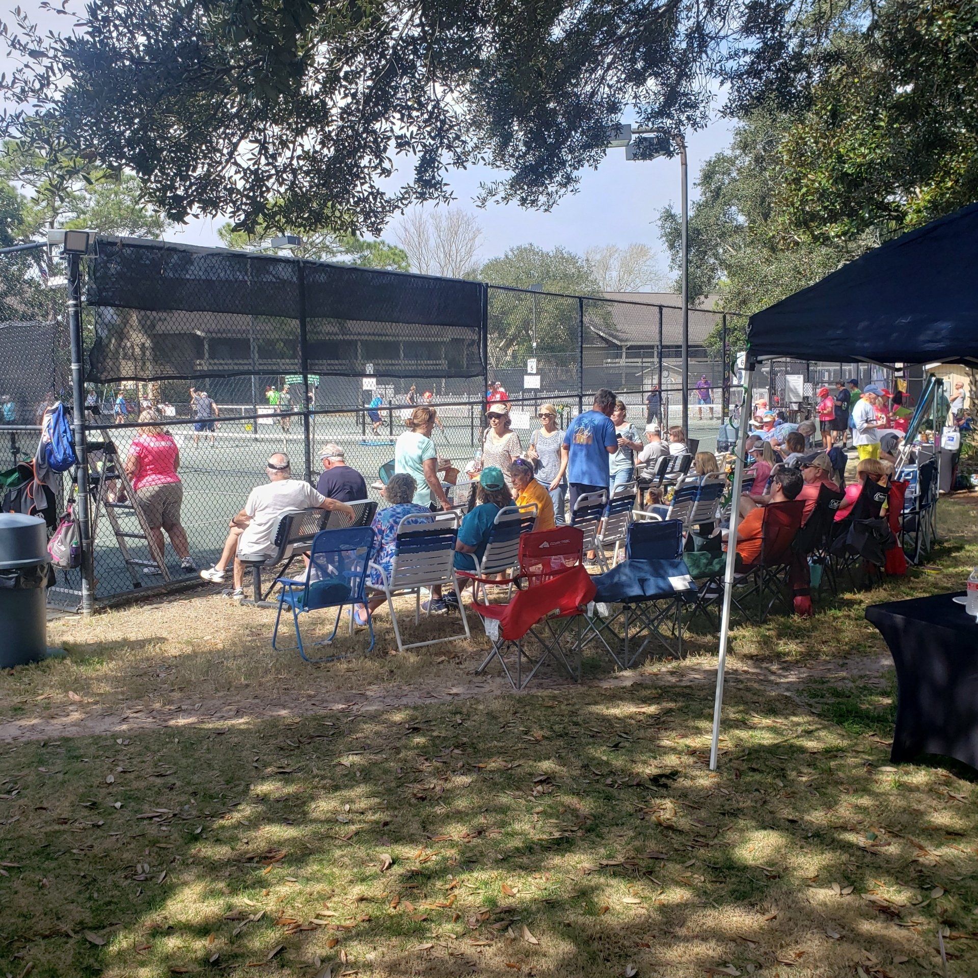 carnival mardi gras pickleball