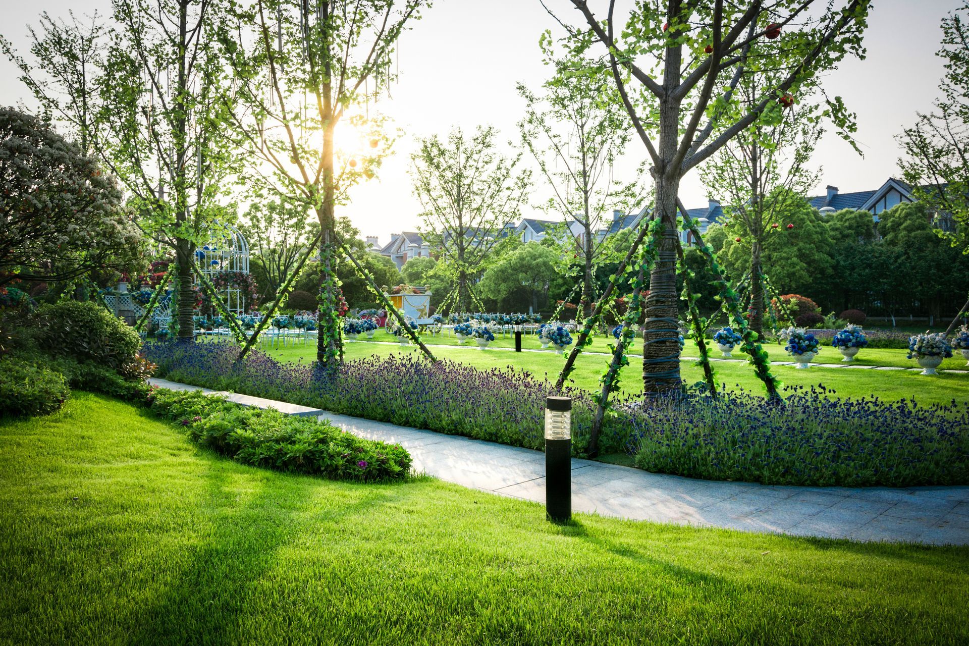 The sun is shining through the trees in the park.