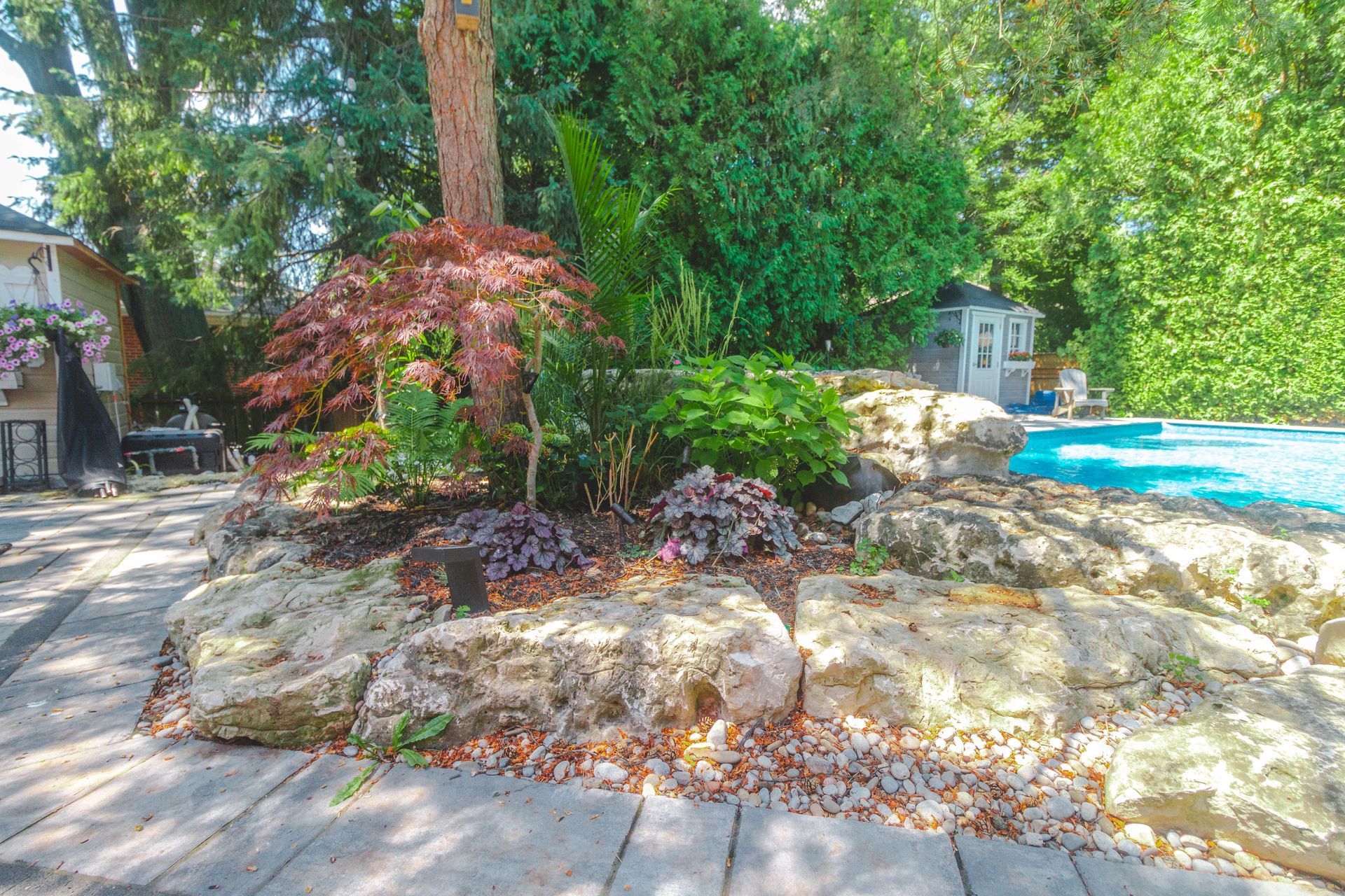 A swimming pool is surrounded by rocks and trees in a backyard.