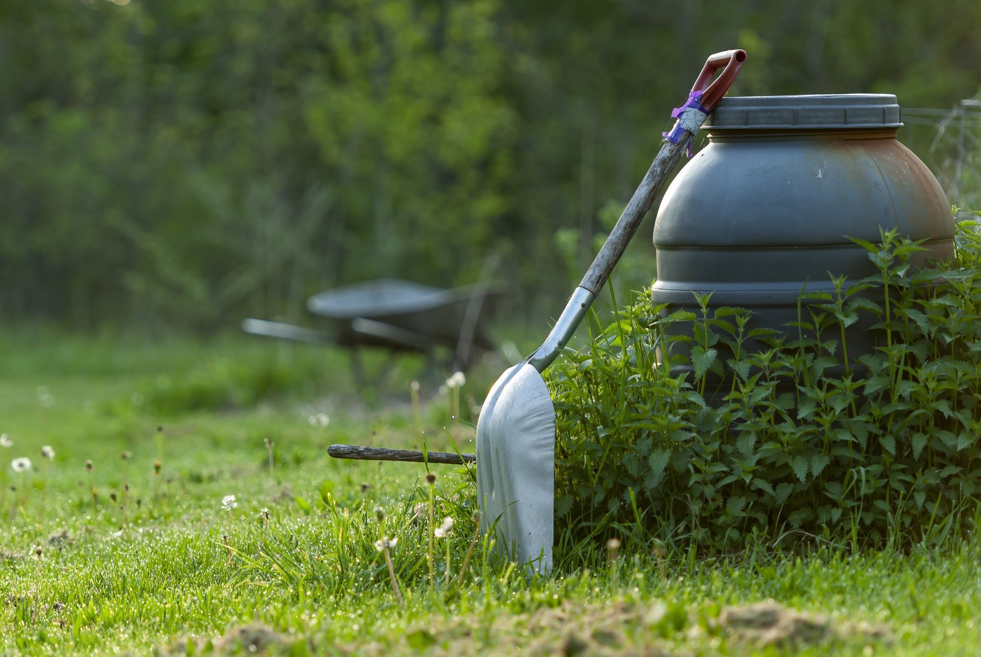 A shovel is sitting next to a barrel in the grass.