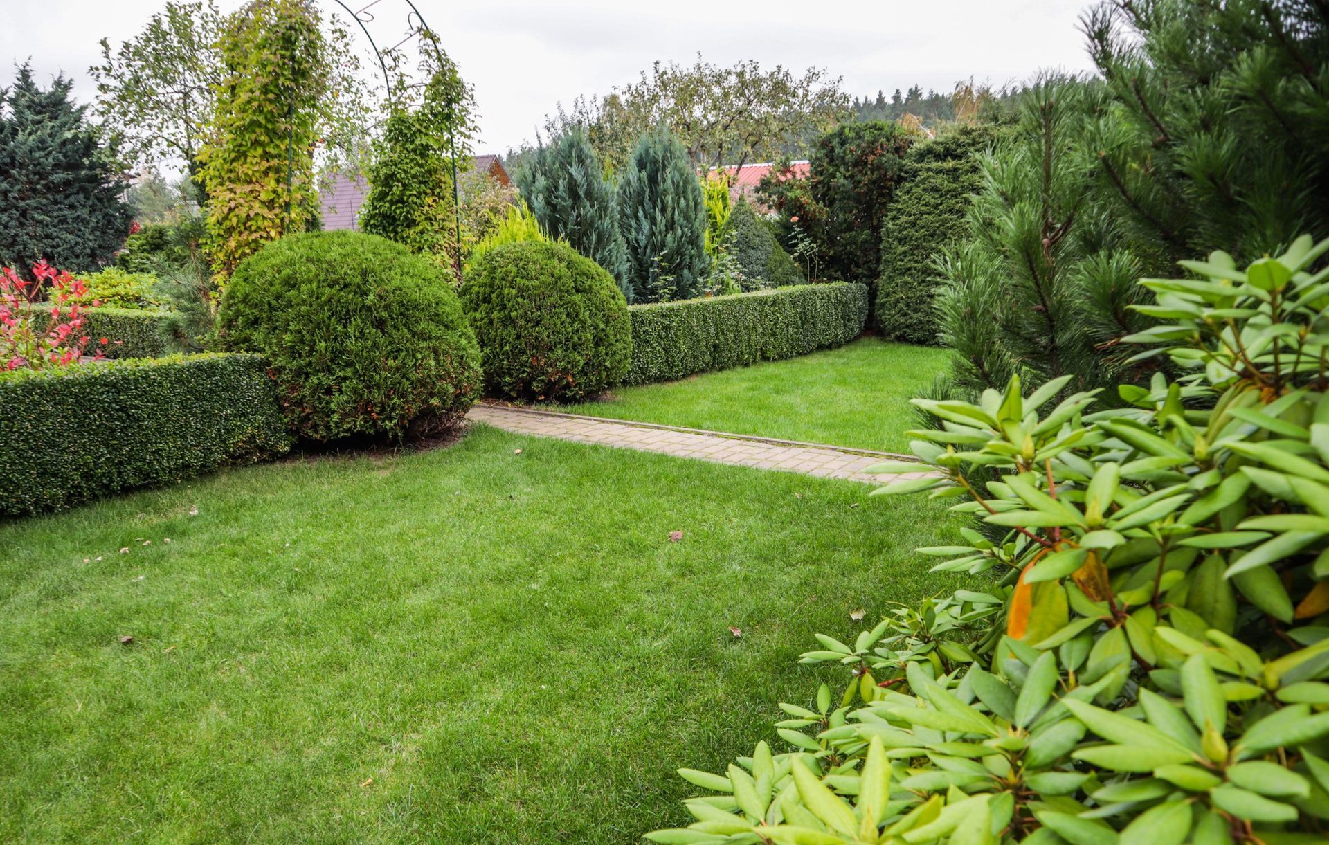 A lush green garden with trees and bushes and a path.