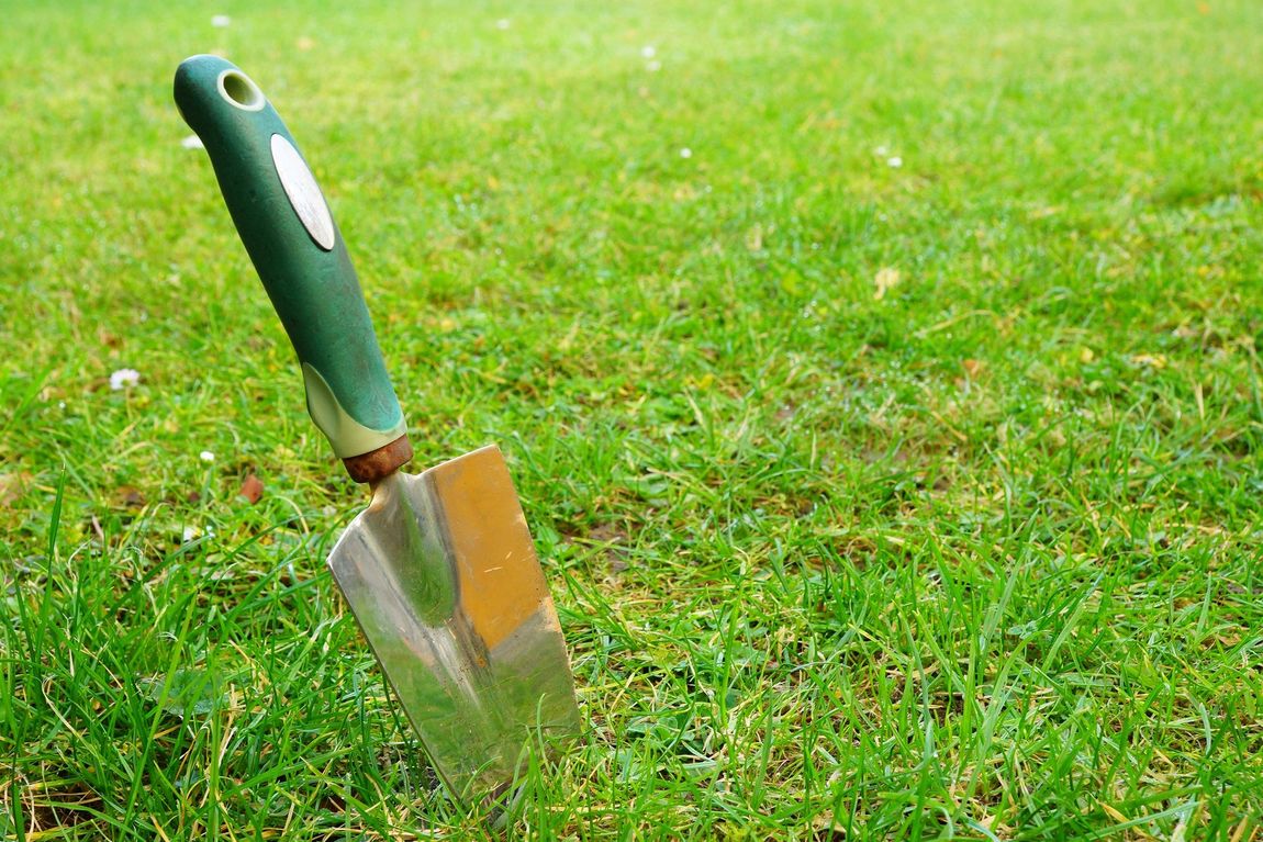 A shovel is sitting on top of a lush green lawn.