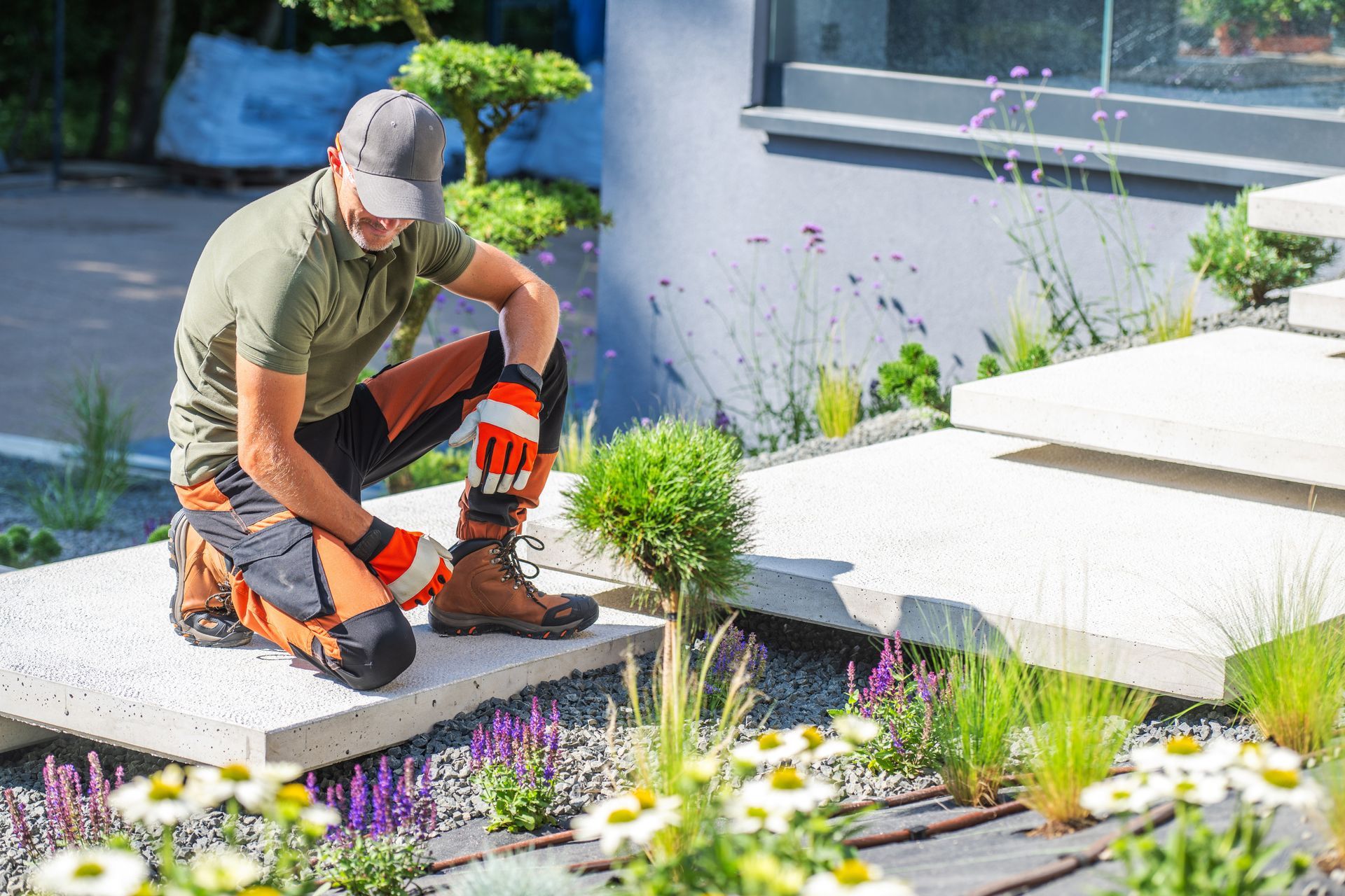 A man is kneeling down in a garden cutting a bush.