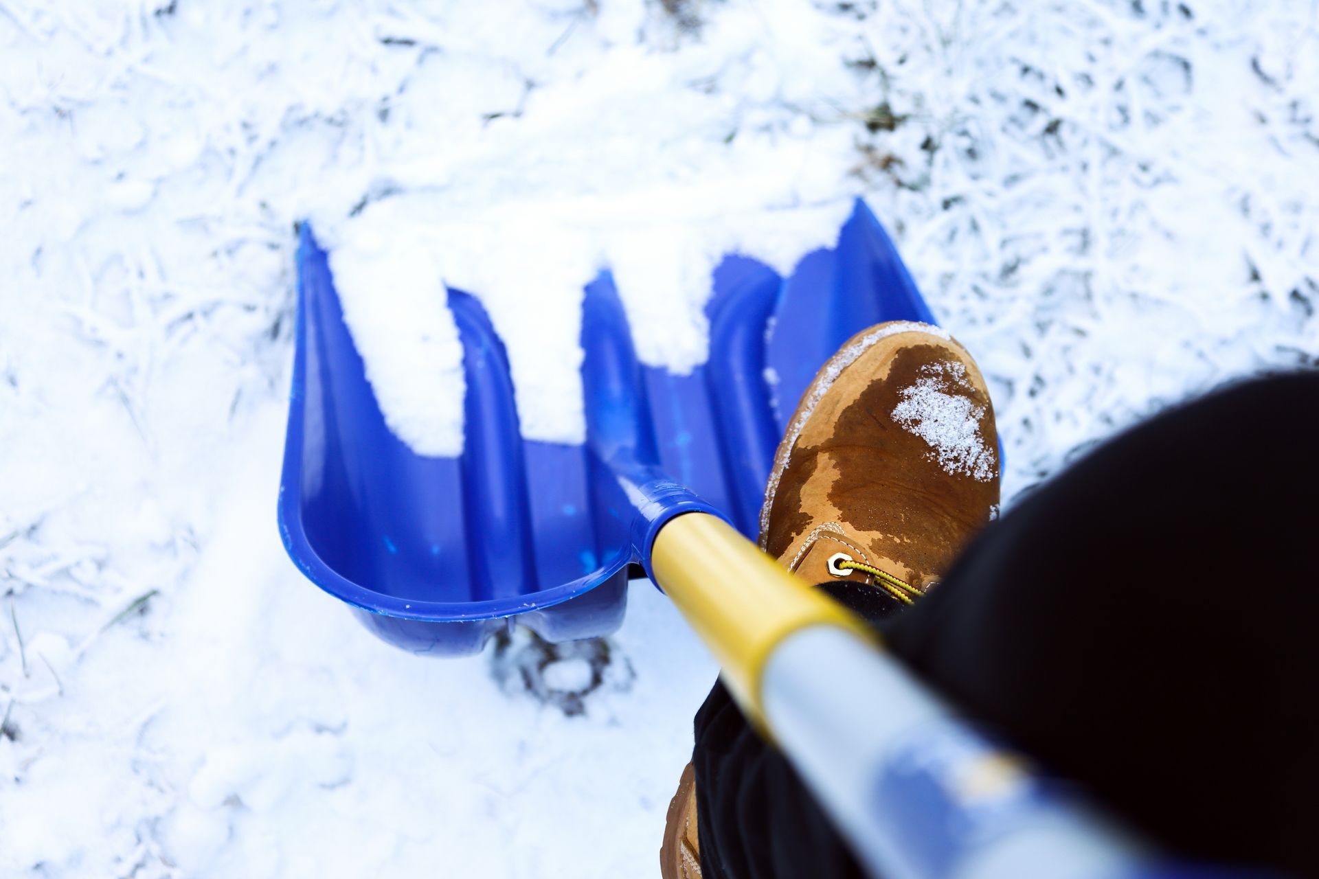 A person is shoveling snow with a blue shovel.