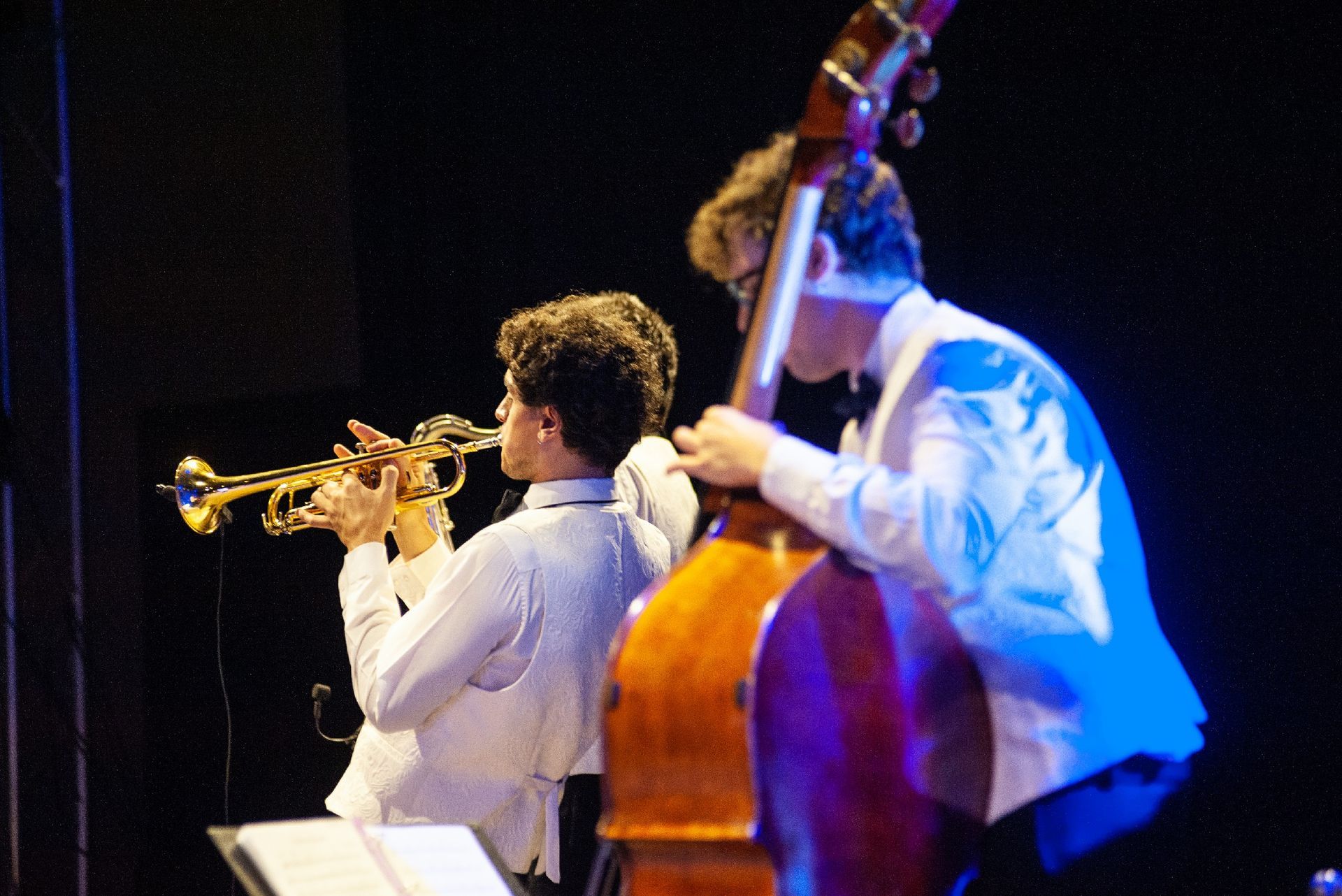 Spettacolo musicale Vecchia Italia Show