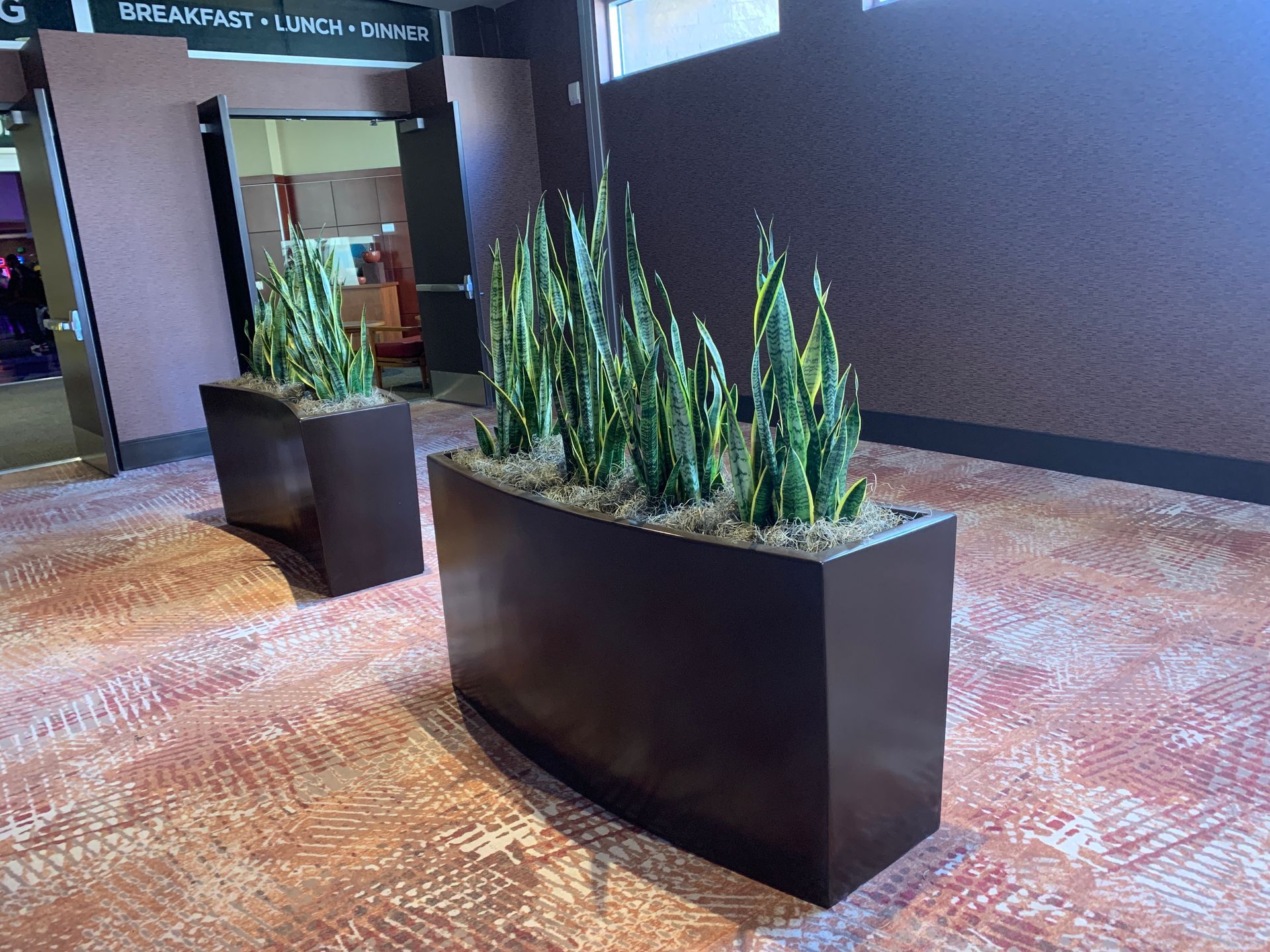 Row of outdoor planters with tall green plants; people seated at tables nearby.