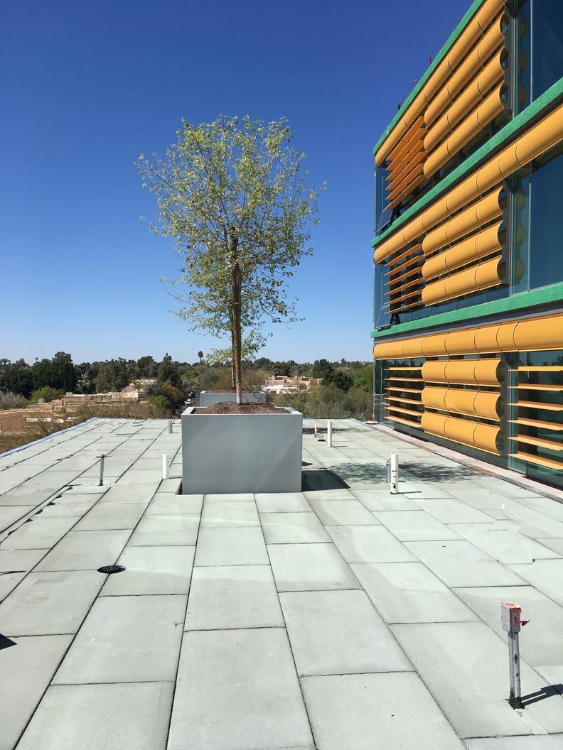 Two large, dark gray planters with green foliage and pink flowers sit on a ledge against a brick wall.
