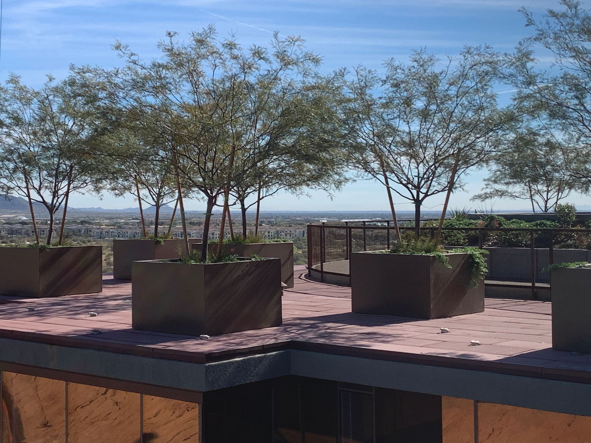 Lounge chairs on green turf beside a pool with a pergola and stucco home. Sunny outdoor scene.