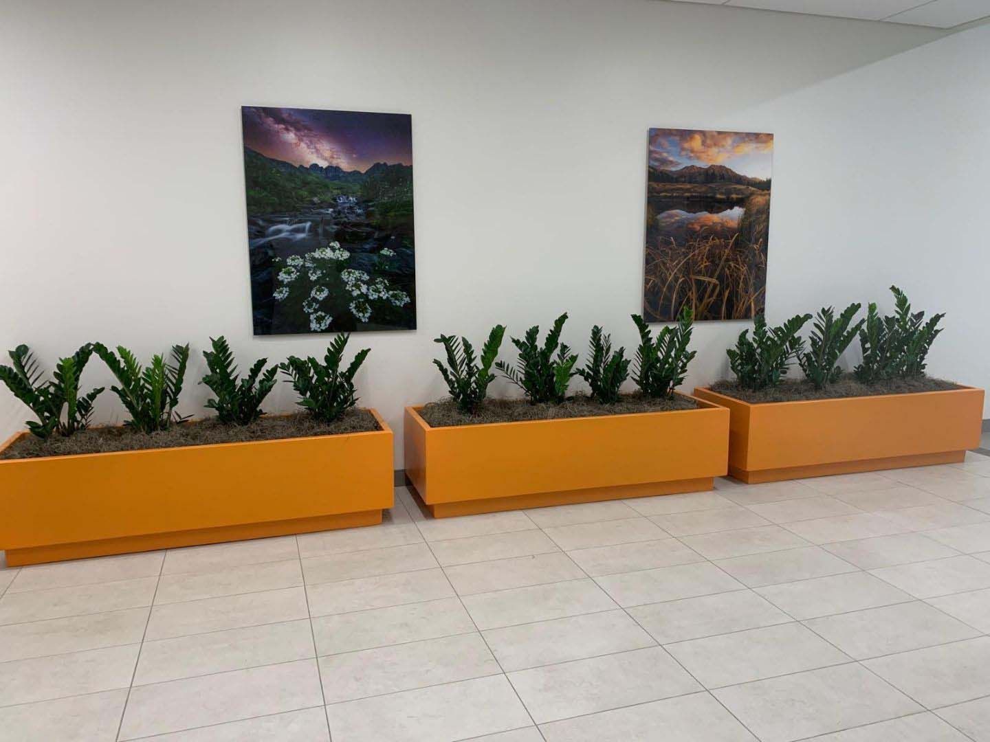 Three potted plants in orange planters in an office setting near a glass door.