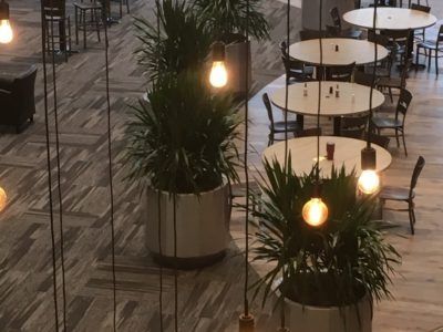 Overhead view of a dining area with round tables, chairs, plants, and hanging light bulbs.