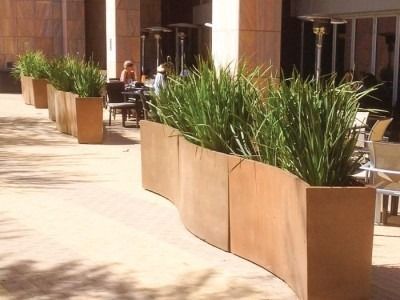Row of outdoor planters with tall green plants; people seated at tables nearby.
