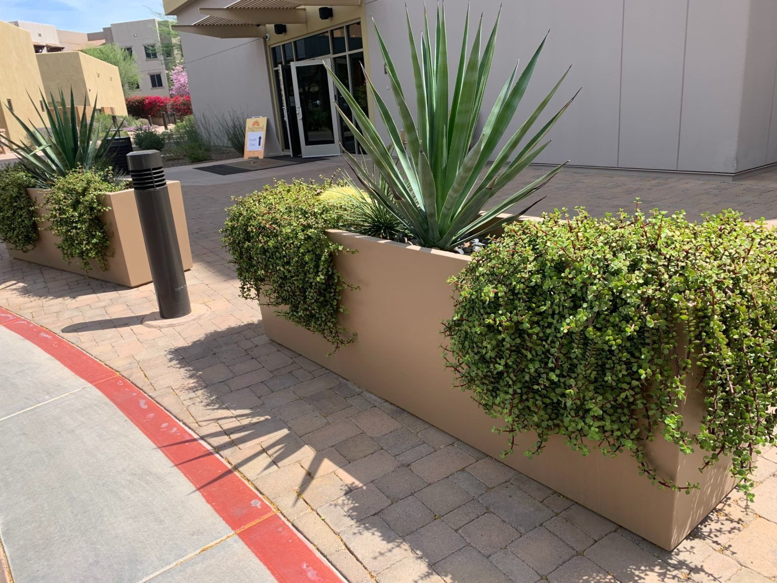 Rectangular planters with greenery outside a building with glass doors.