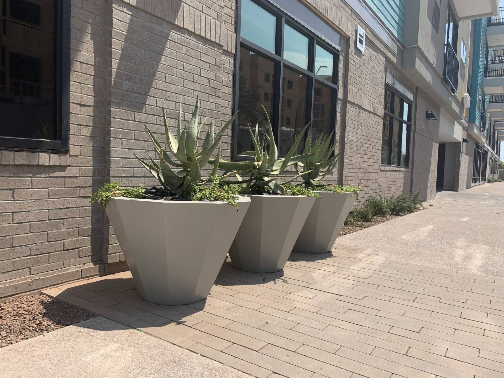 Three large, light gray planters with green plants sit on a brick walkway in front of a building with brick and windows.