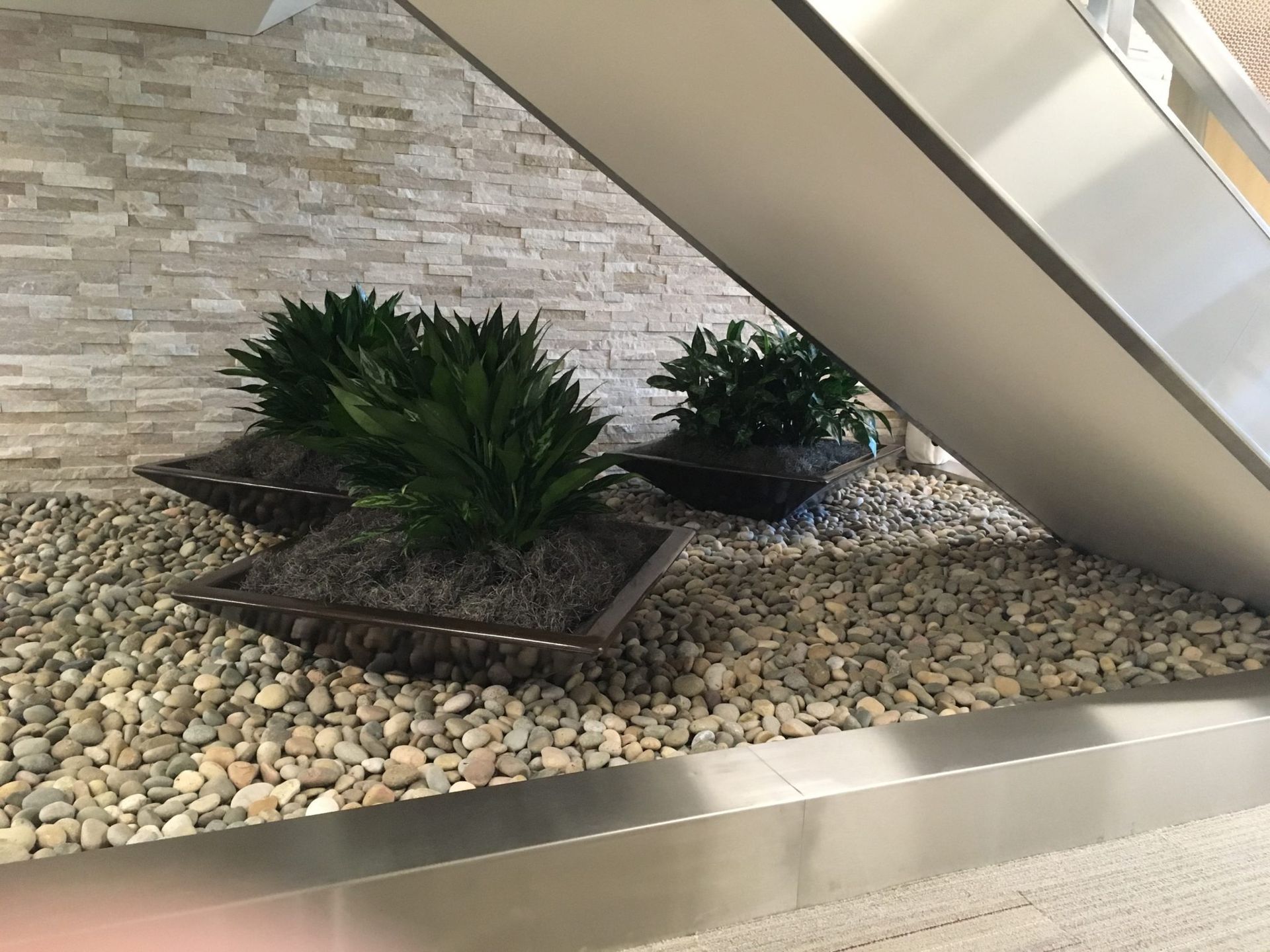 Plants in square planters on a bed of pebbles, next to a modern staircase and stone wall.