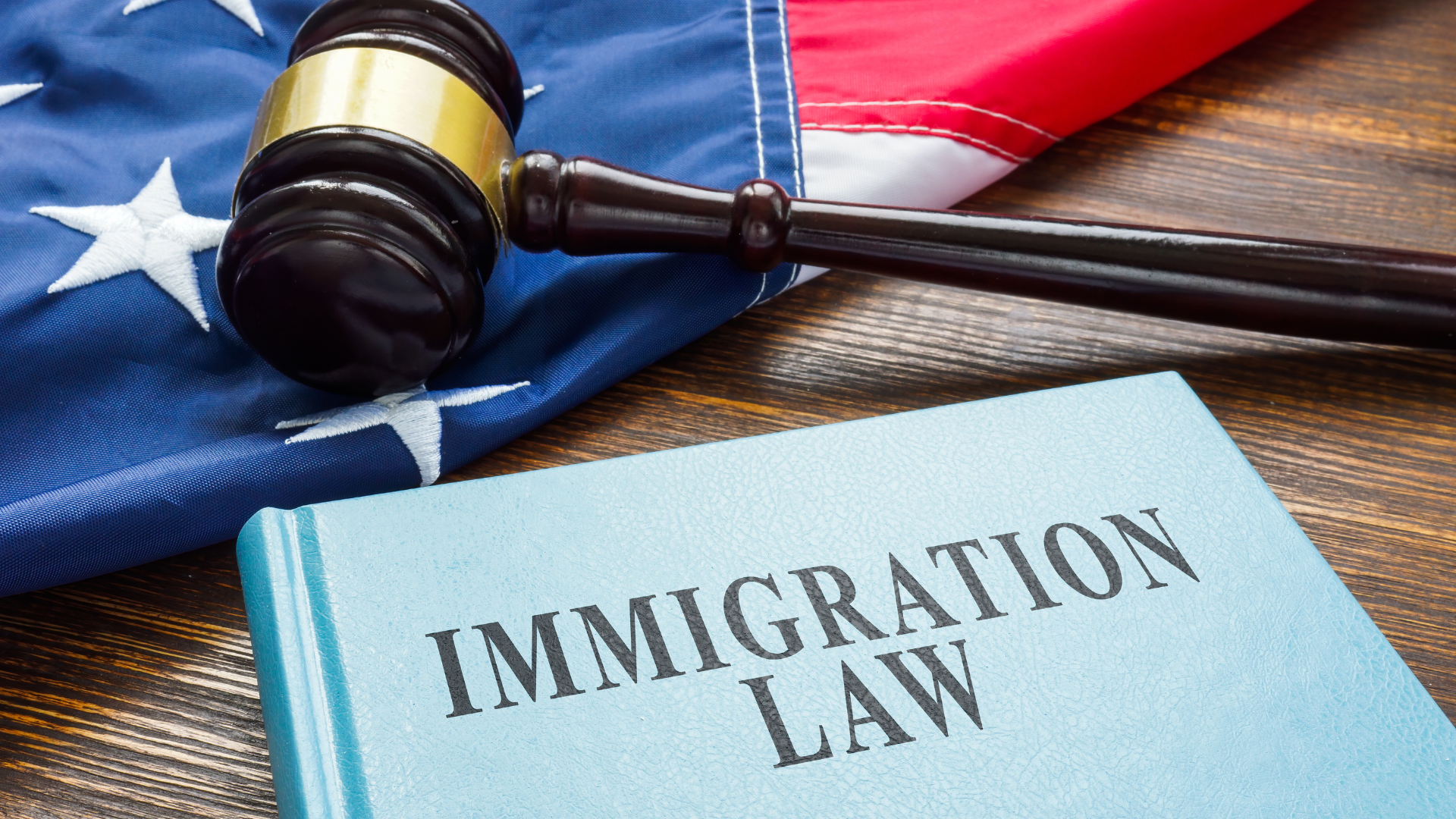 A judge 's gavel is sitting on top of a book titled immigration law.