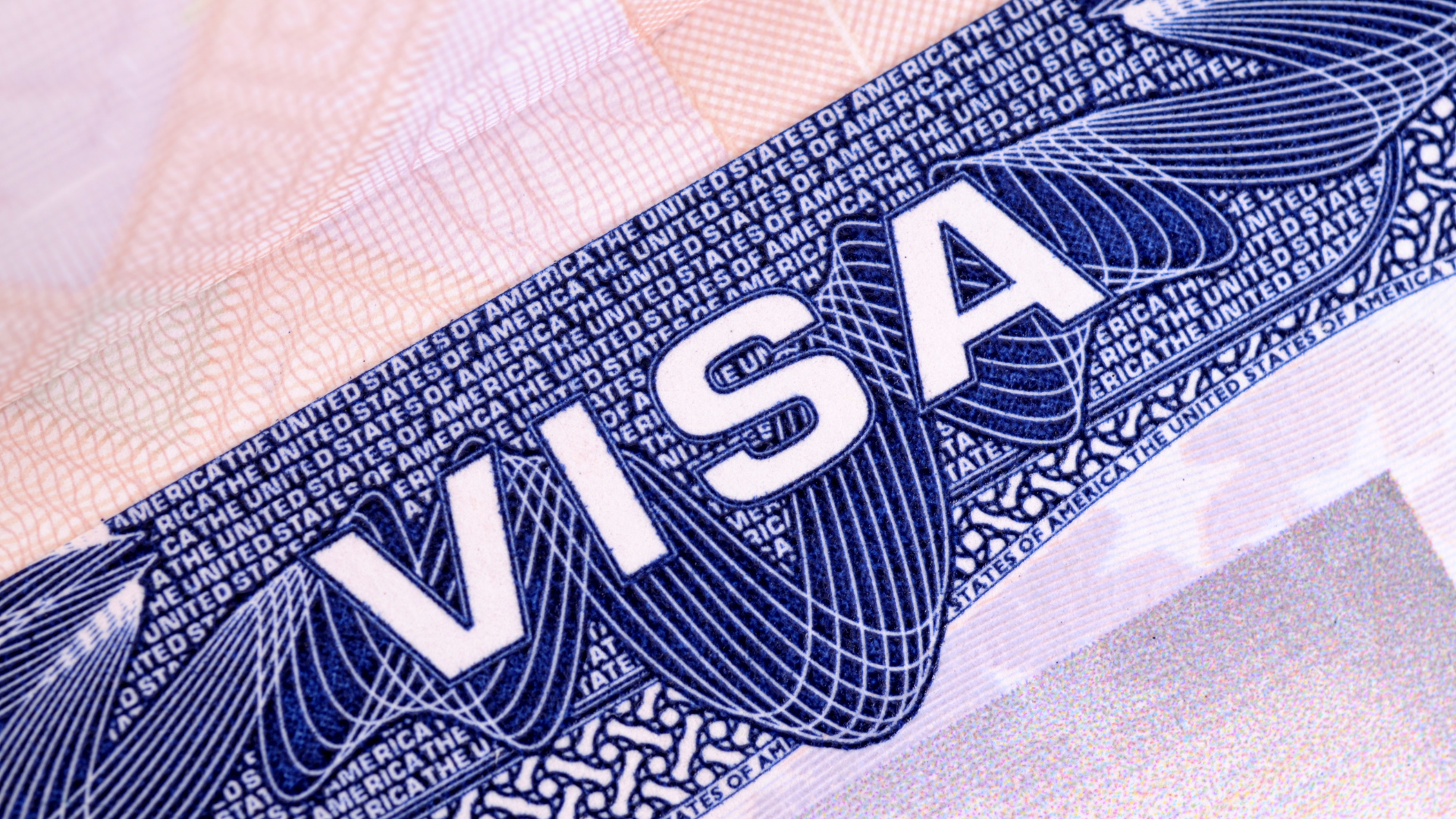 A close up of a visa with the word visa on it
