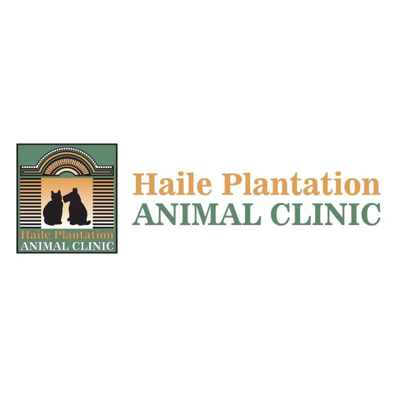 Haile Animal Clinic