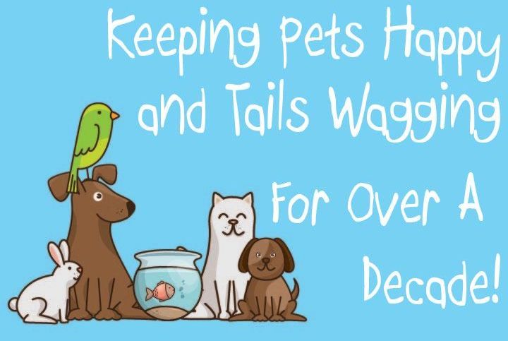 Illustration with all types of animals celebrating over 10 years of pet care