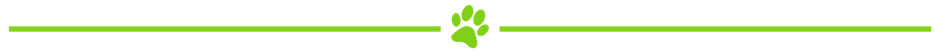 A green line with a green paw print icon