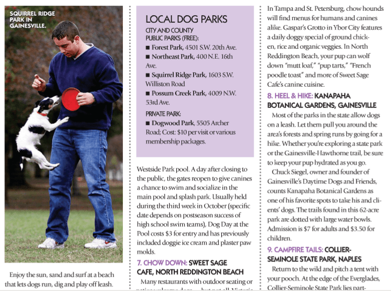 A man is playing frisbee with his dog at local dog parks