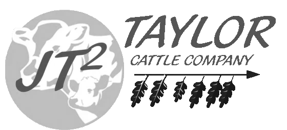 A black and white logo for taylor cattle company