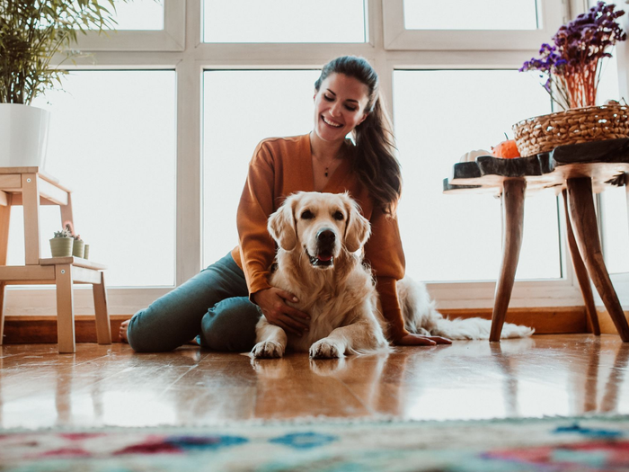 Homeowner insurance