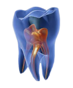 Endodonzia