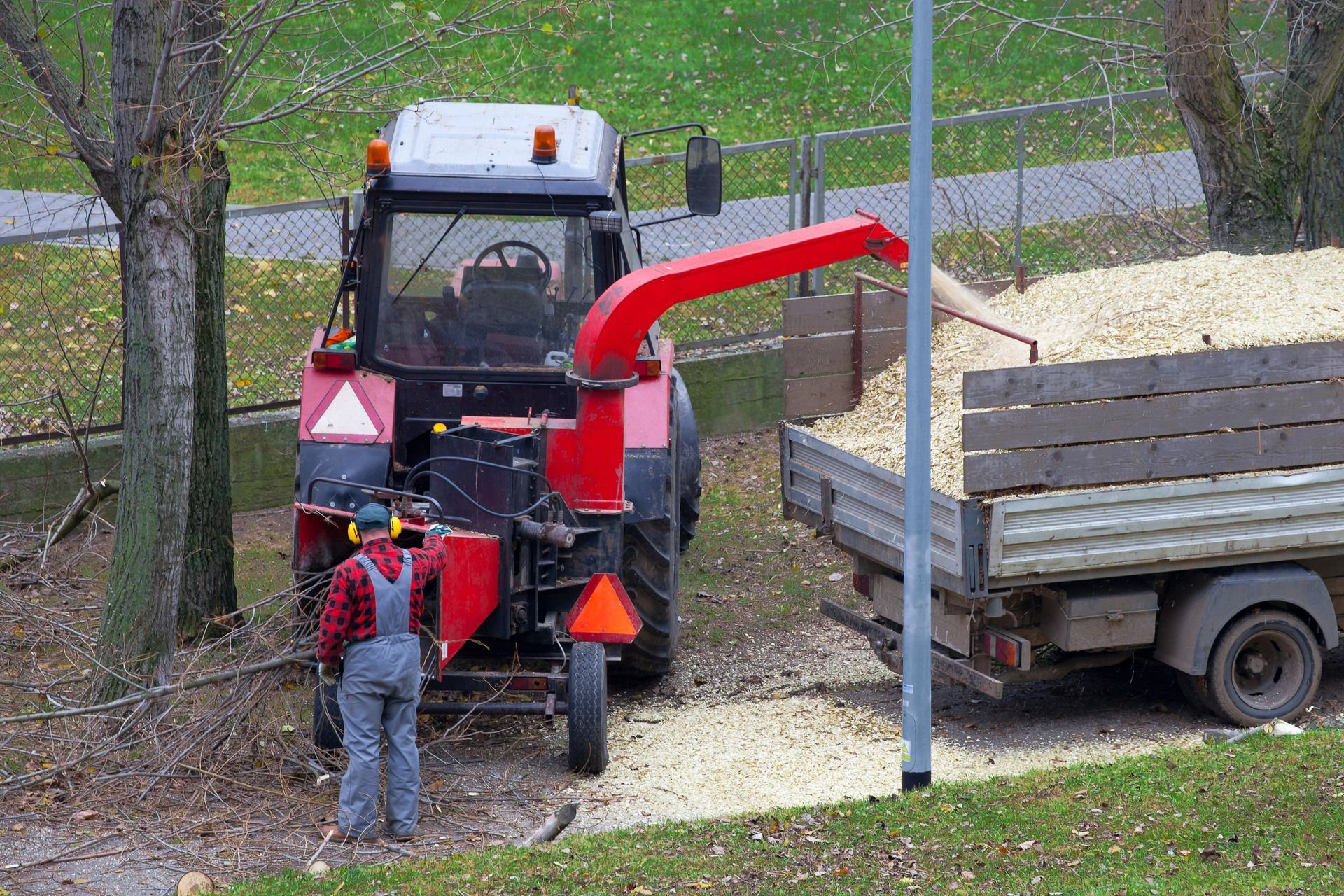 Industrial wood chipper processing branches into a trailer.