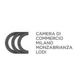 CamCom Milano Monza Brianza Lodi