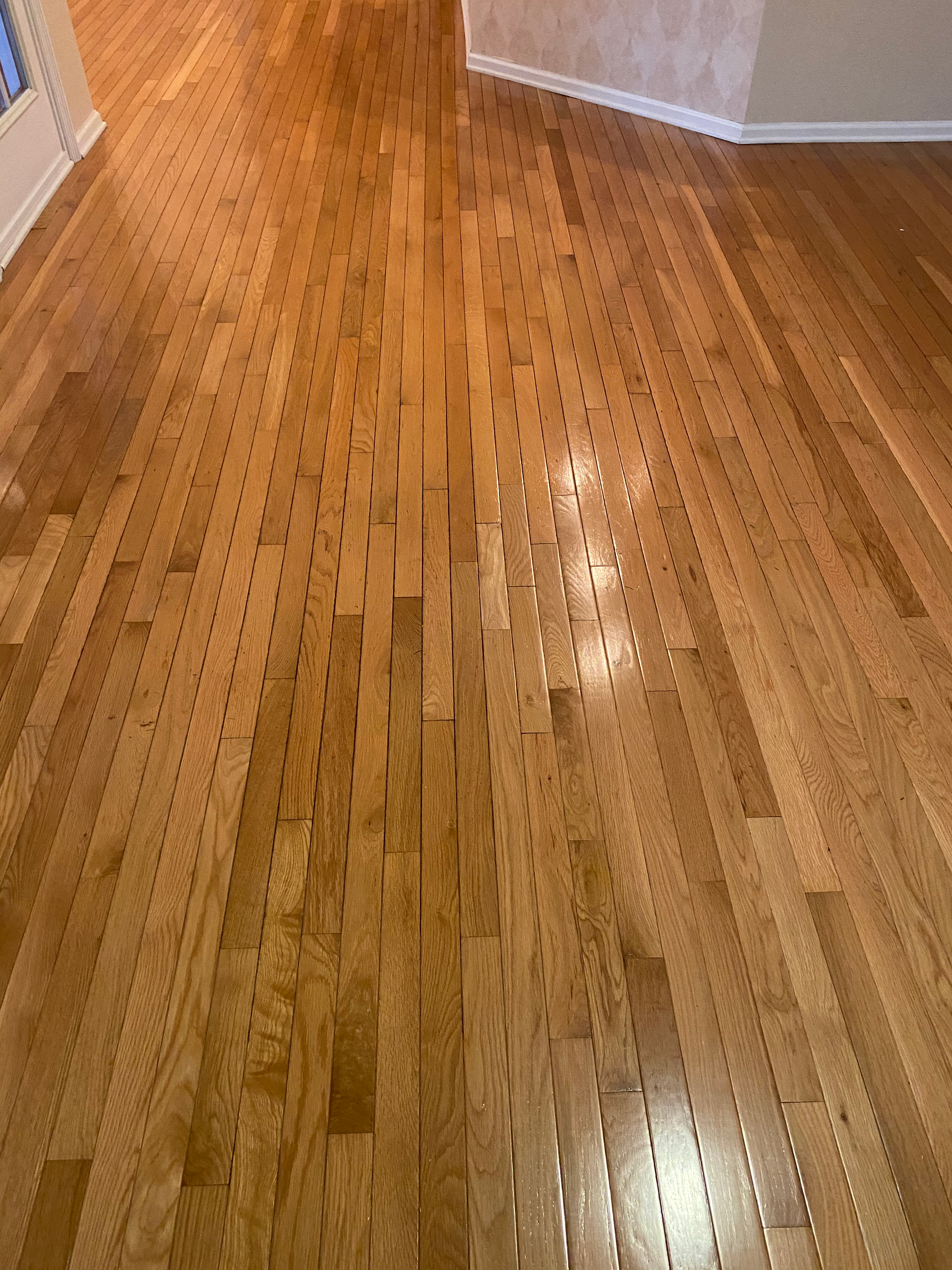 Modern Living Room — Goose Creek, SC — Holy City Flooring