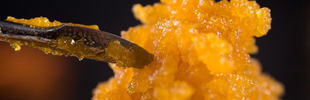 A close up of a cannabis rosin