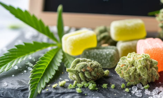 cannabis gummies