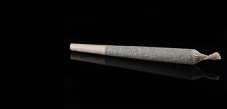 cannabis preroll