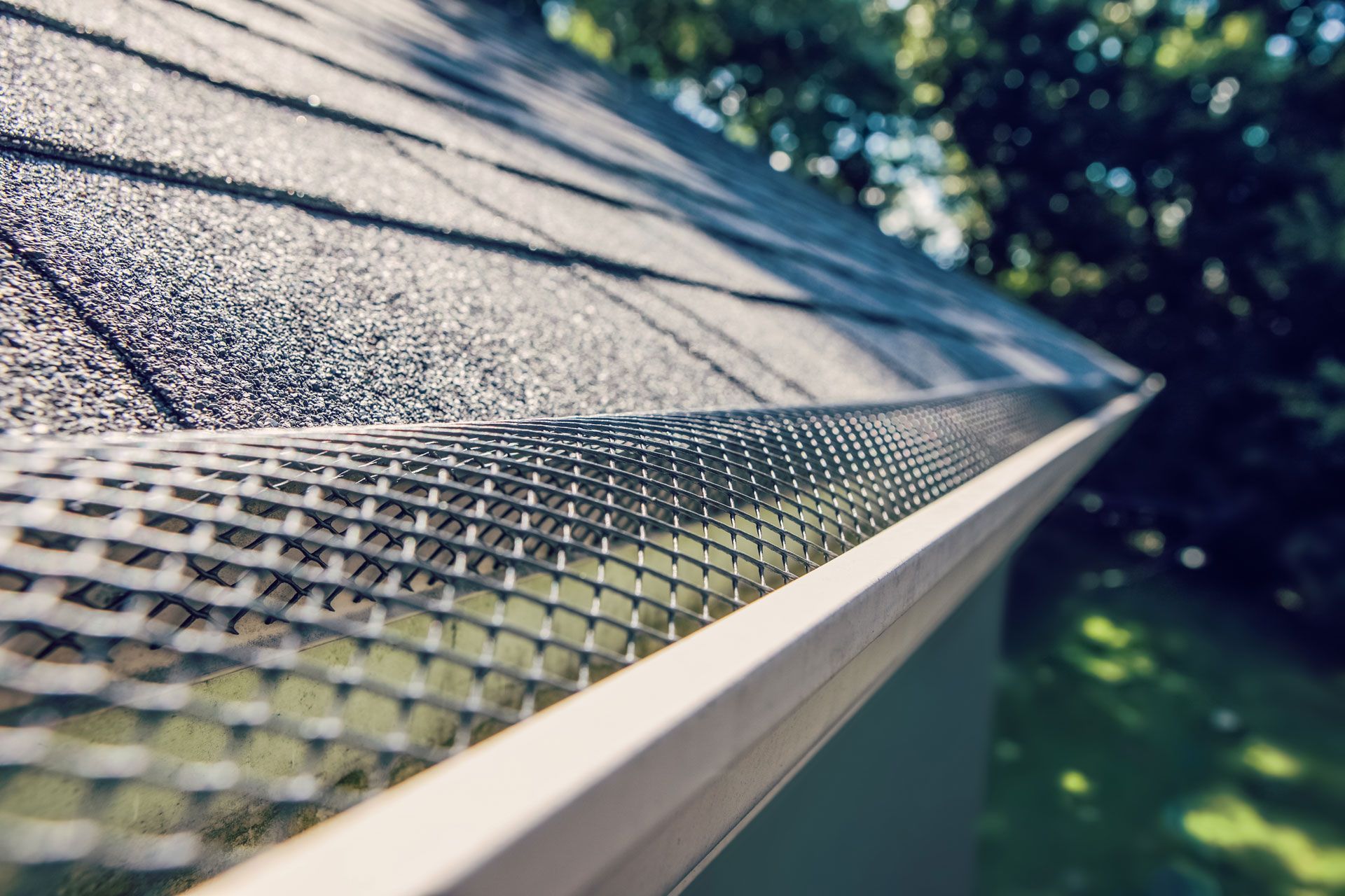 Gutter guard on a roof, protecting against debris. Close-up shows mesh screen and gray shingles.