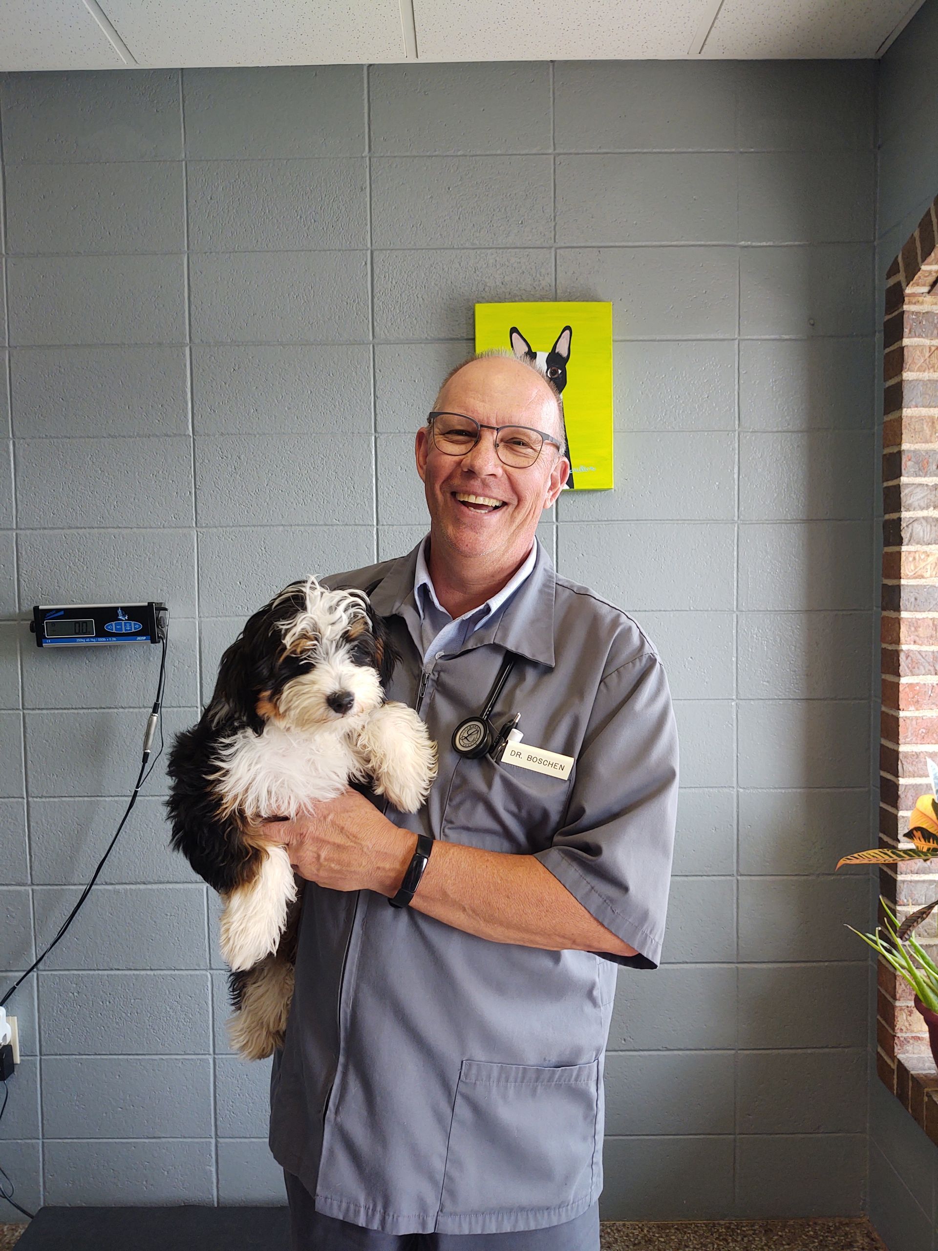 Dr. Boschen | Springfield, MO | North Side Animal Clinic