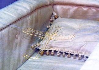 cofani in legno massiccio