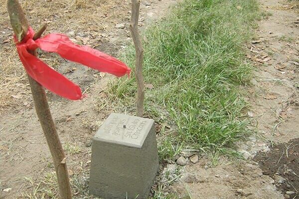 Semafor - Servicios forestales, topografía y agrimensura
