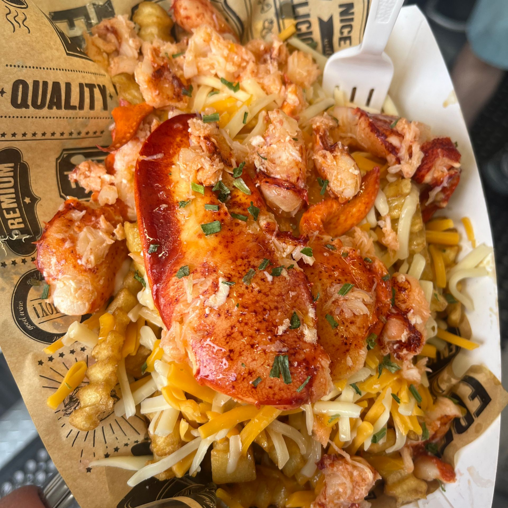 Lobster roll with fries and seasoning on a lined tray
