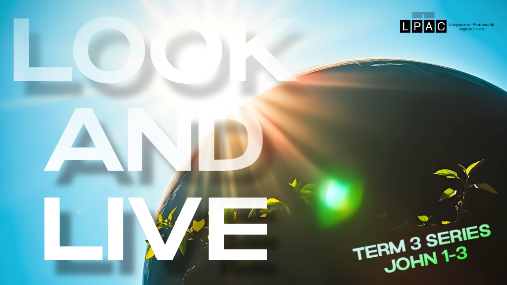 John 1-3: Look And Live
