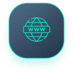 An icon of a globe with the word www on it