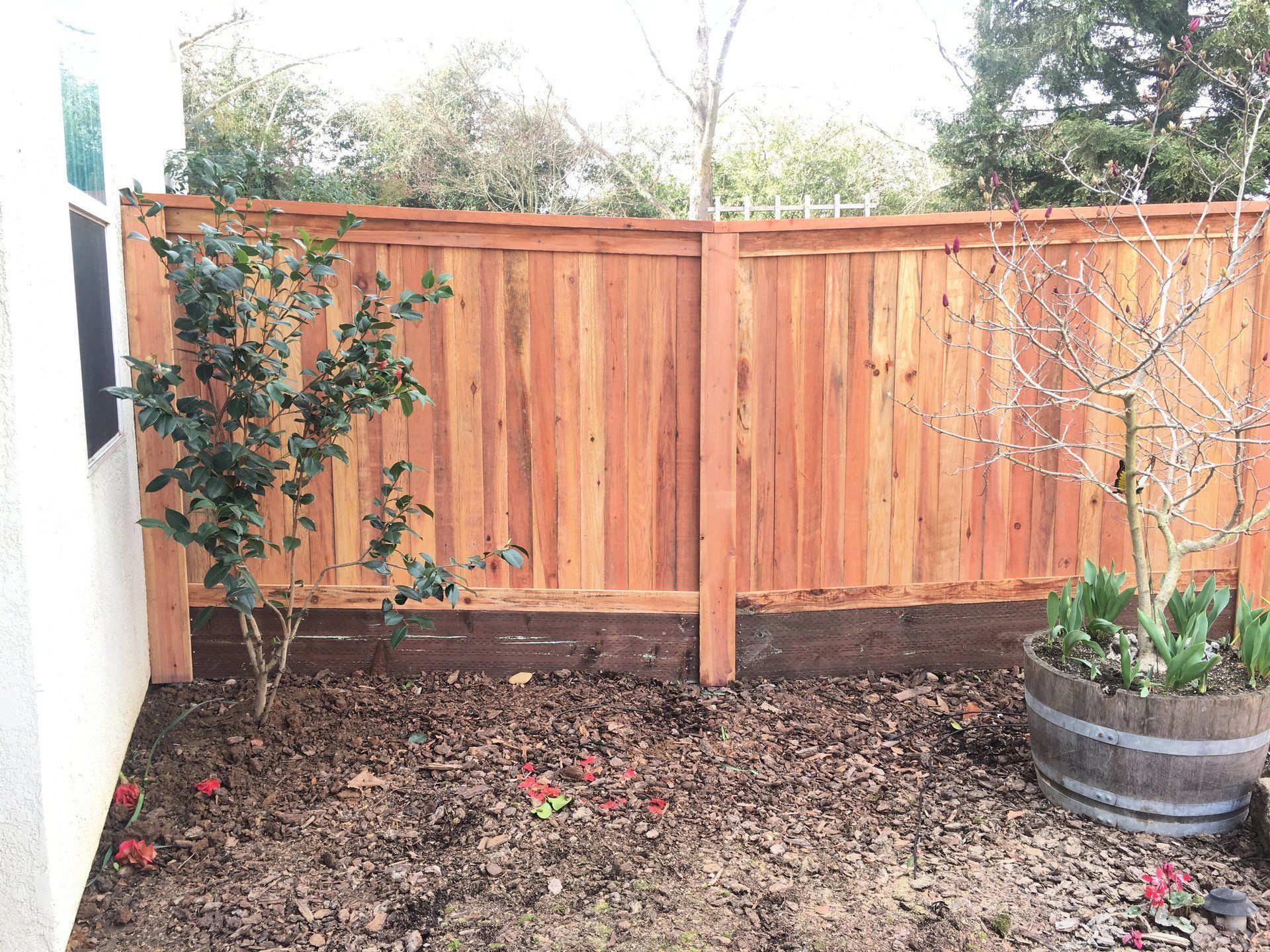There is a wooden fence in the backyard with a potted plant in front of it.