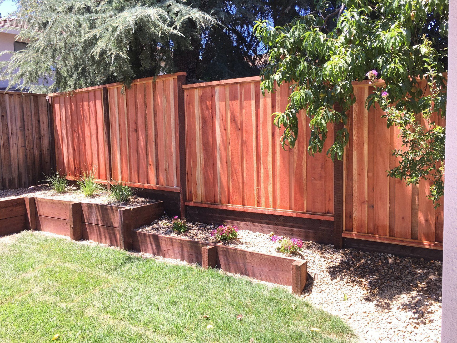 A wooden fence surrounds a lush green lawn in a backyard.