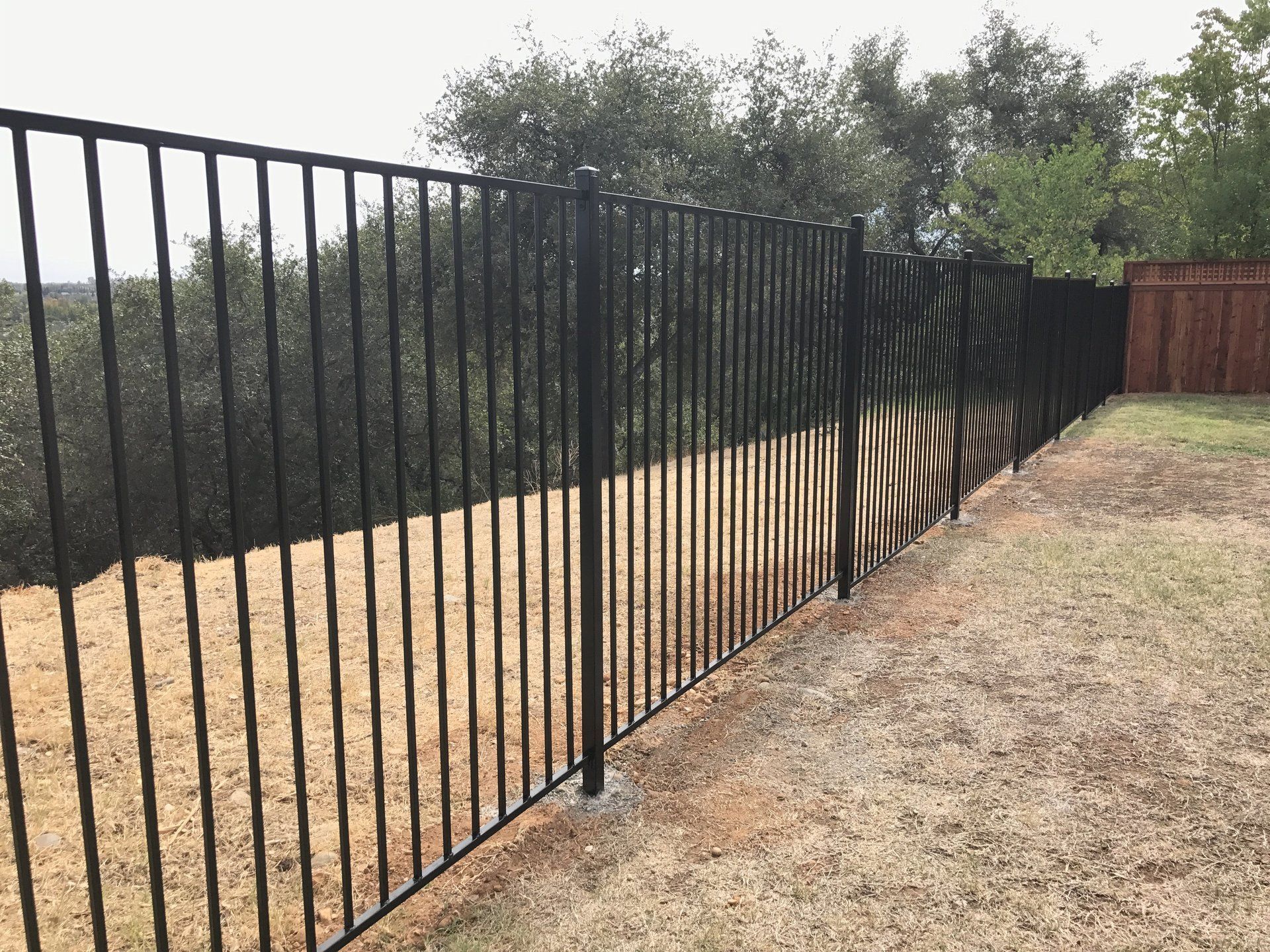 A black metal fence surrounds a lush green field.