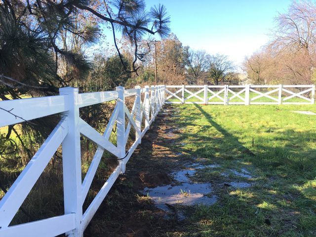 A white fence surrounds a grassy field with trees in the background